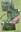4A84E39C-391B-415E-8E9B-296C37087205.jpeg