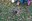 DSC06699.JPG