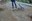 DSC06768.JPG