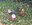 image1.jpeg